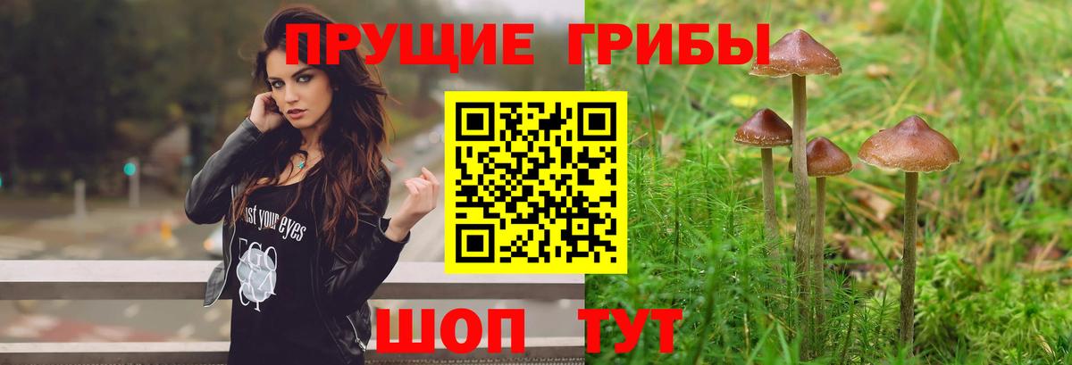Псилоцибиновые грибы GOLDEN TEACHER  Вход с VPN  Белебей 
